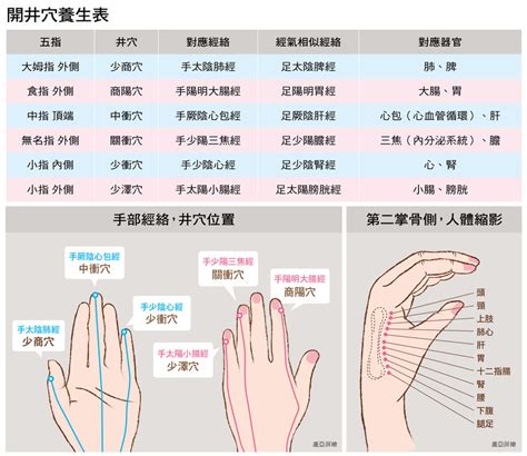 手指代表的器官|五指對五臟，按揉手指穴位能養生保健